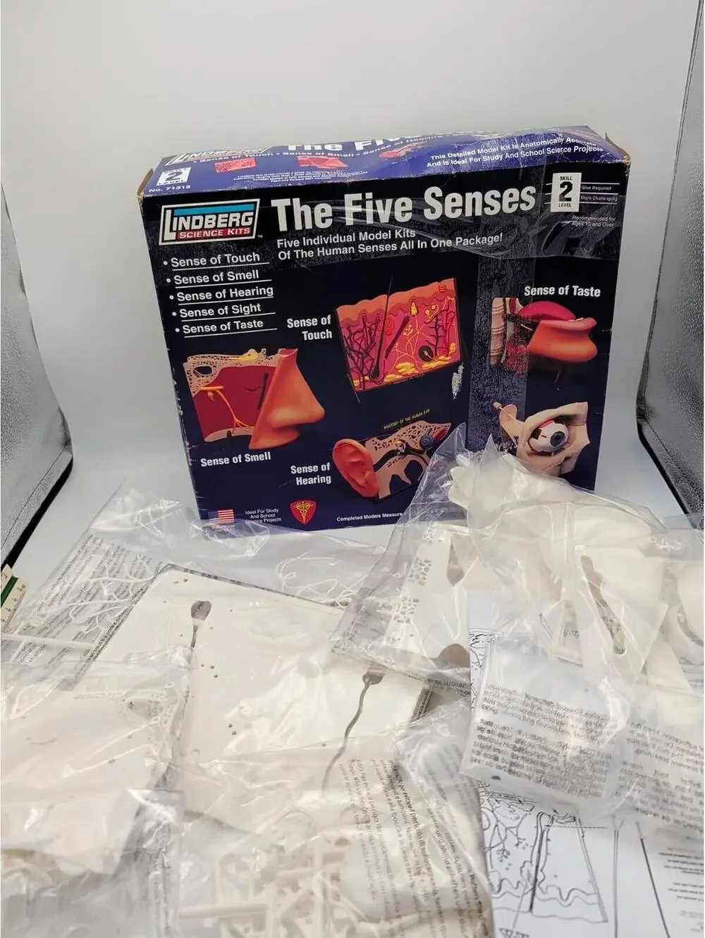 LINDBERG SCIENCE KITS The Five Senses Touch Smell‎ Hearing Sight Taste MODEL KIT